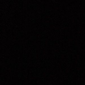 Meet your Posher, Bo